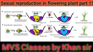 Sexual reproduction in flowering plant part 15 [upl. by Longmire101]