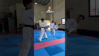 Taekwondo Vs Karate  Tendang Papan [upl. by Ushijima]