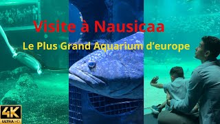 Visite Nausicaa  Le Plus Grand Aquarium Deurope [upl. by Ahsats145]