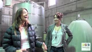 Antiyal organically grown biodynamically winery Food amp Wine Travel maipo valley [upl. by Aeriell300]