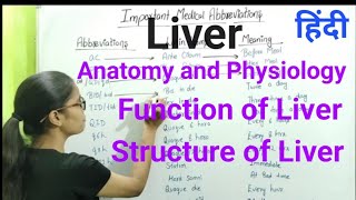 Liver Anatomy and Physiology of Liver Function of Liver Structure of liver [upl. by Starbuck]