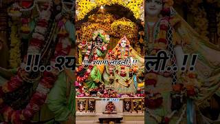 🌺राधे किशोरी दया करो  Radha Rani Song  shorts krishna madhavas [upl. by Inalial]