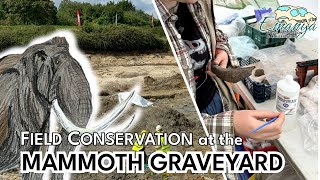 Mammoth Graveyard  Conservation in the Field [upl. by Mcclure]