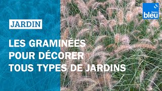 Les graminées pour décorer tous types de jardins [upl. by Fax]