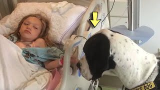 This Dog Walks Up to a Sick Girl and Does Something That Will Melt Your Hearts [upl. by Tikna]