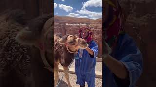 Experience the Real Morocco Culture Traditions and Beauty moroccotravel moroccotravelguide [upl. by Jenkel]