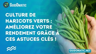 👉 Culture de haricots verts  améliorez votre rendement grâce à ces astuces clés [upl. by Stalker926]