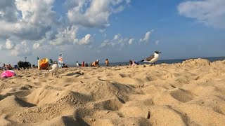 Rehoboth Beach Towel View ⛱️ [upl. by Goran]