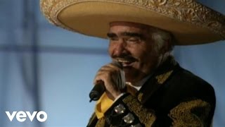 Vicente Fernández  A Pesar de Todo Audio [upl. by Lebama]