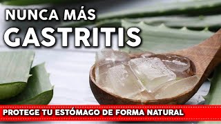 6 Plantas para aliviar la GASTRITIS  Como usarlas y cultivarlas en tu huerta o jardin [upl. by Ayam]