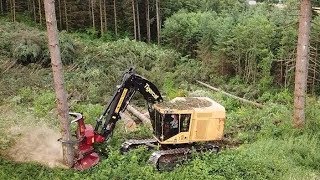 Chilton Logging Tigercat 870D Feller Buncher and Cat 558 Processor [upl. by Esinehc]