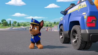 Paw patrol  Chase in action new pipeline [upl. by Blank]