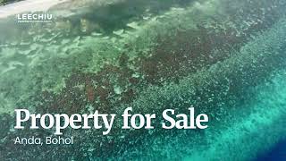 For Sale Beach Property in Bohol  Exceptional Investment Opportunity in the Philippines [upl. by Palladin]