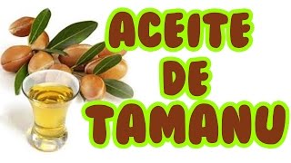 Aceite de TAMANU o CALÓFILO Calophyllum inophyllum 😉 Excelente tónico y protector [upl. by Glenine]