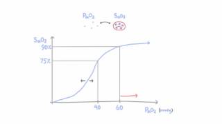 Oxygen hemoglobin dissociation curve [upl. by Zohar867]