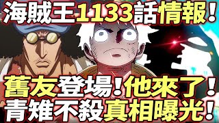 海賊王1133話情報：舊友登場！青雉“不殺真相”曝光！！ [upl. by Acemat]