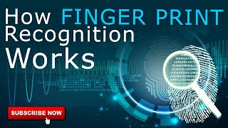 How Fingerprint Recognition Works   Biometric Devices  Star Link [upl. by Cassondra]