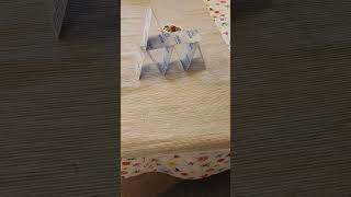 Mini card house can you build card house shorts [upl. by Caye]