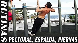 3 Rutinas para Cada Grupo Muscular  Pectoral y Tríceps Espalda y Bíceps Pierna [upl. by Bonina947]