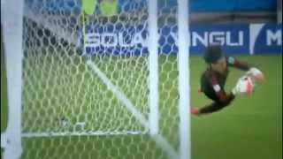 Guillermo OCHOA Best Saves Ever HD [upl. by Erleena]