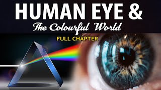 Human Eye and Colourful World Full chapter Animation  Class 10 Science Chapter 11  CBSE [upl. by Ydorb]