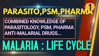 MALARIA ANTIMALARIAL DRUGS Plasmodium Life Cycle Malaria Lifecycle Plasmodium Life CycleHindi [upl. by Thurstan]