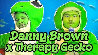 DANNY BROWN GIVES ADVICE AS A GECKO  Therapy Gecko [upl. by Brunelle]