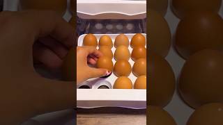 Fridge Restock ASMR 🍒🥕🥝 asmr restock viralvideo organization shorts relaxing [upl. by Marlin254]