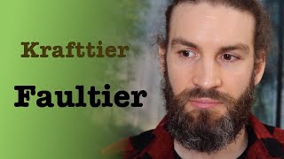 Krafttier Faultier  Schamanismus mit Benjamin Maier [upl. by Yentroc]