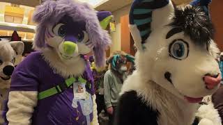 Anthro New England 2024 Fursuit Parade from the INSIDE PERSPECTIVE [upl. by Reiter]