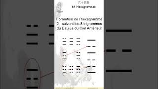 Hexagramme 21 du Yijing  Mordre au travers  Feu  Tonnerre yijing [upl. by Bazar]