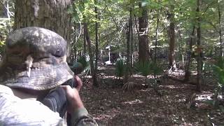 Horn Swamp Hog Hunting  Greatest Hits Volume One [upl. by Esli270]