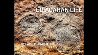 2021 Documentary Ediacaran Fossils of Ikara Flinders Rangers SA [upl. by Becka758]