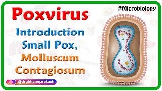 Poxvirus Microbiology USMLE  Small pox Molluscum contagiosum [upl. by Enitsuj]