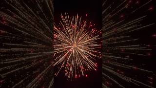 7” Thriller Canister Shell fireworks 4thofjuly pyro foryou shorts fire viral reels tiktok [upl. by Craw139]