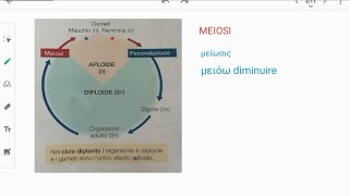 Introduzione alla meiosi Riproduzione sessuata e asessuata didatticaadistanza coronavirus [upl. by Esteban685]