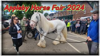 Appleby Horse Fair 2024 [upl. by Aerdno]