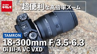 【レンズレビュー】タムロン 18300mm F3563 Di IIIA VC VXD｜これ1本でどんなシーンも！ [upl. by Danas]