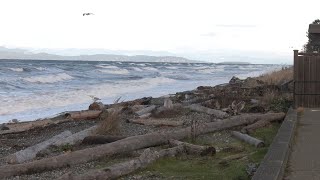 QUALICUM BEACH WAVES [upl. by Araccot]