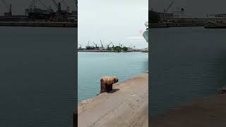 Tamilnadu Chennai Sea Port ShortVideo  ShortViral [upl. by Einuj]