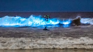 Unbelievable Bioluminescent Beach California [upl. by Pam]