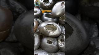 Shaligram  sri yoga laxmi narsimha shaligram shila  gandaki shaligram 💐shorts short shortsfeed [upl. by Budwig]