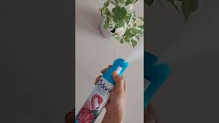 Try Kiya Kya Odonil Destinations Room Air Freshener Spray Review airfreshener odonil roomfreshner [upl. by Aeet]