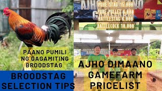 Ajho Dimaano Gamefarm Visit  PRICELIST  Broodstag Selection Tips Big Farm In The Philippines [upl. by Sidnak]