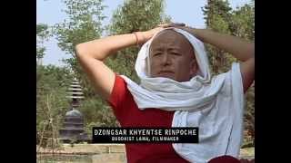 Glimpses of Dilgo Khyentse Rinpoche [upl. by Anippesuig]