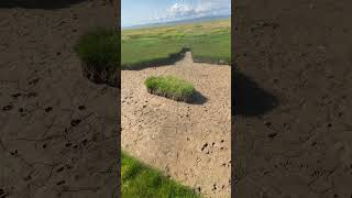 Unusual Island of Grass on the English Coastline [upl. by Amahcen]