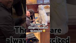 I think my parrot is breaking things 😂 cockatoo parrot funny birds adoptdontshop [upl. by Sidoon]