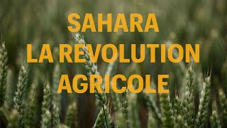 Sahara  La révolution agricole [upl. by Annaehr]