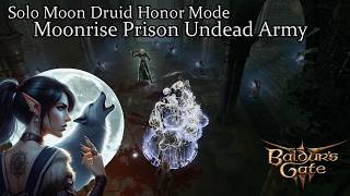 Solo Moon Druid Moonrise Tower Assault Part Two Prison Undead Army Honor Run [upl. by Katheryn]