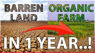 How to Transform Barren Land into an Organic Farm in Just 1 Year [upl. by Hahnert918]